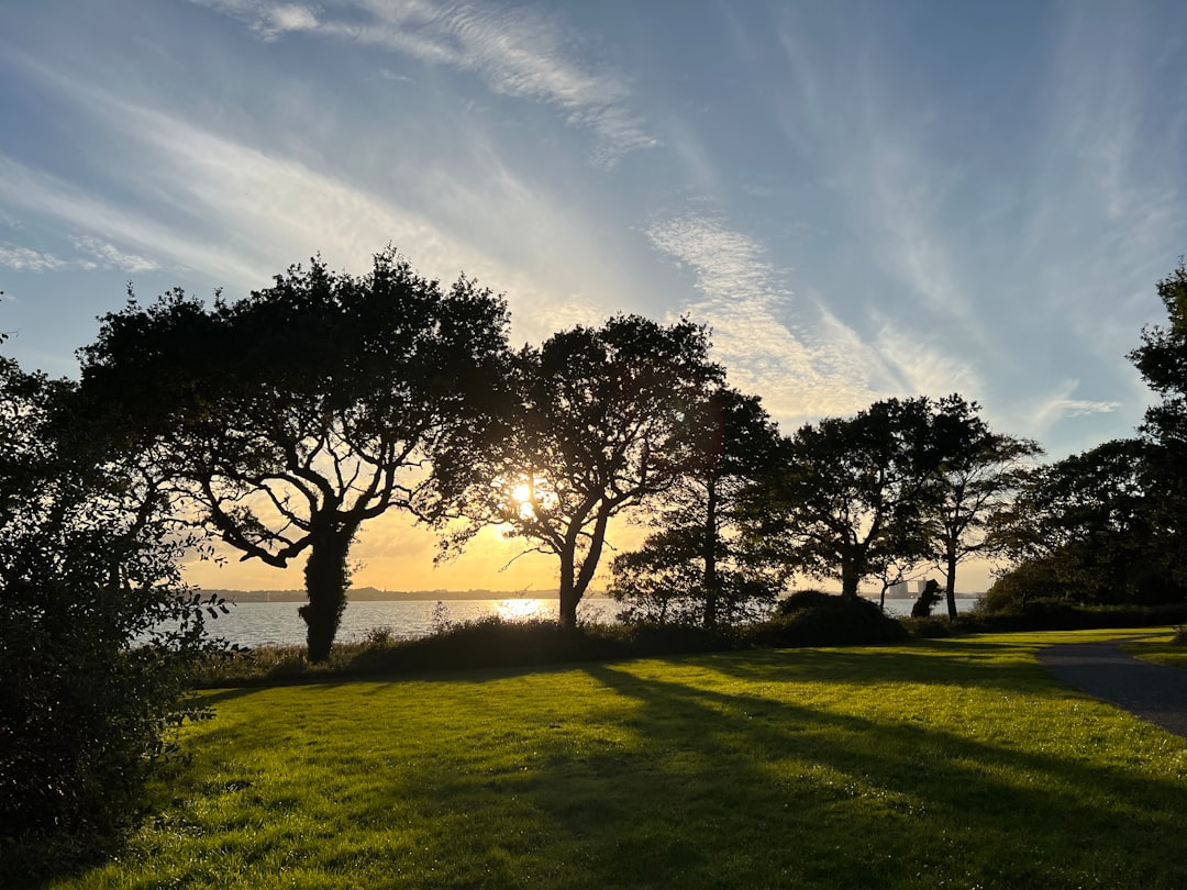Southampton, Hampshire: the sun is setting over the water and trees